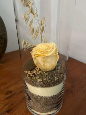 Rose éternelle #25